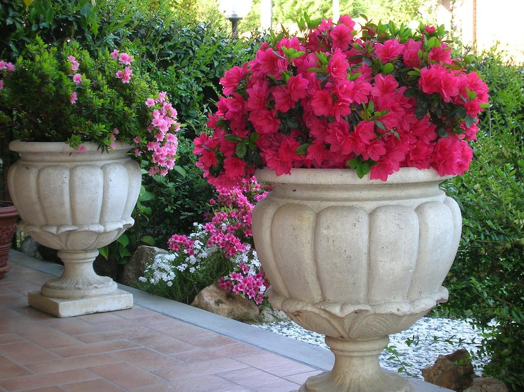 B&B Anna Moncalieri Dış mekan fotoğraf