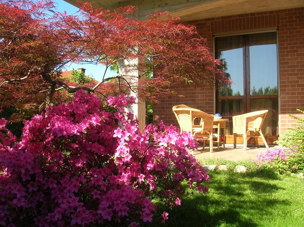 B&B Anna Moncalieri Dış mekan fotoğraf